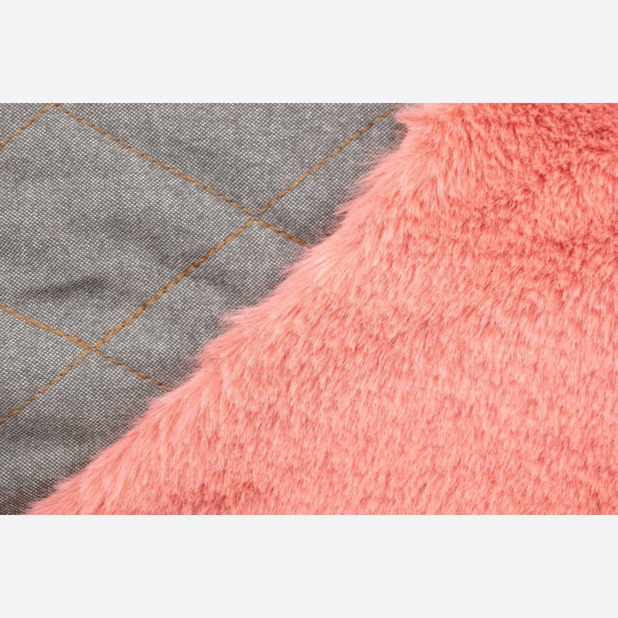 Ocieplenie miś - koral